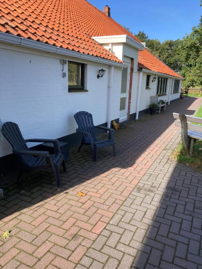 Apartamento Bed En Breakfast Westerwolde Sellingen Exterior foto