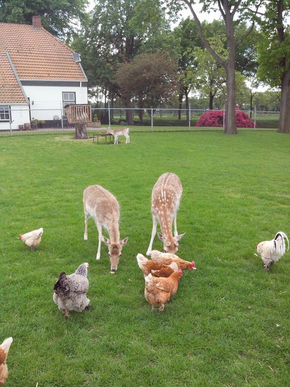 Apartamento Bed En Breakfast Westerwolde Sellingen Exterior foto